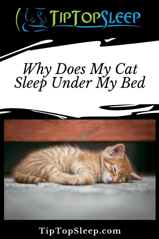 Why Does My Cat Sleep Under My Bed?