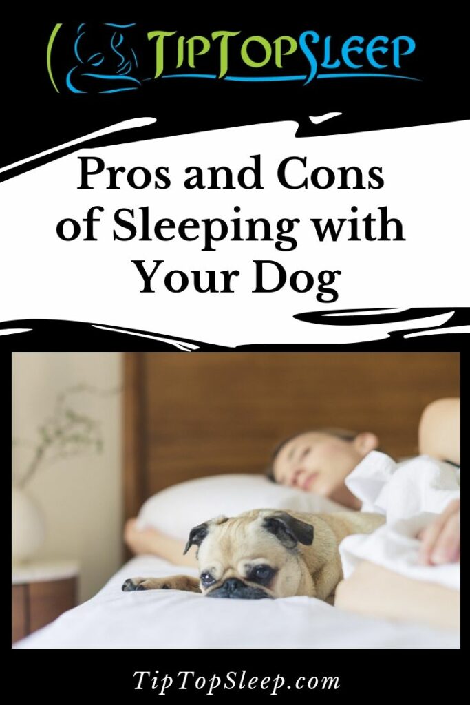 Pros and Cons of Sleeping with Your Dog - Tip Top Sleep