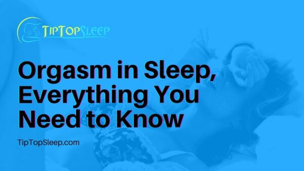 Orgasm In Sleep, Everything You Need To Know