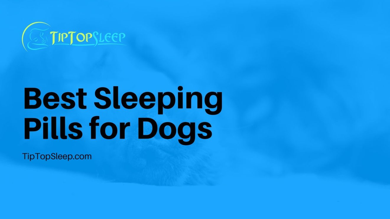 Best Sleeping Pills For Dogs