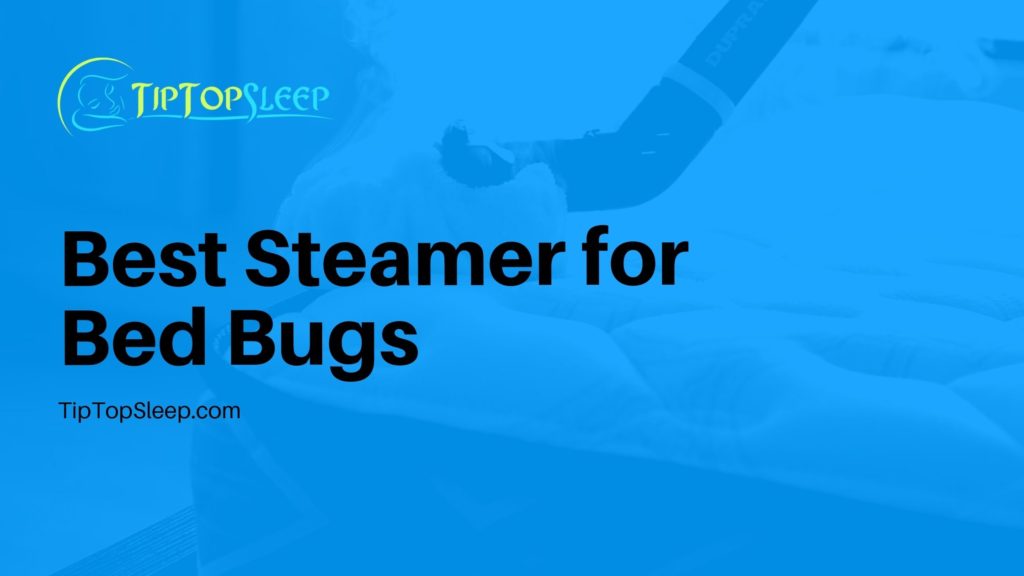 Best-Steamer-for-Bed-Bugs