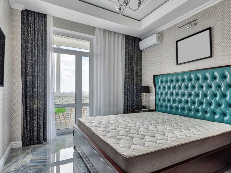 Best Steamer For Bed Bugs