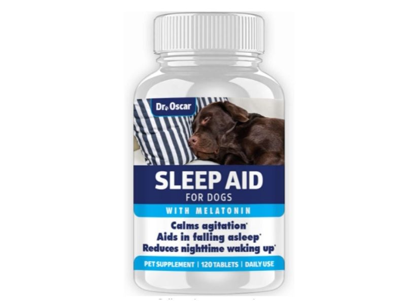 Best Sleeping Pills for Dogs - Tip Top Sleep
