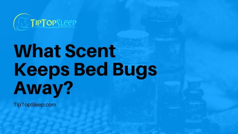 What-Scent-Keeps-Bed-Bugs-Away