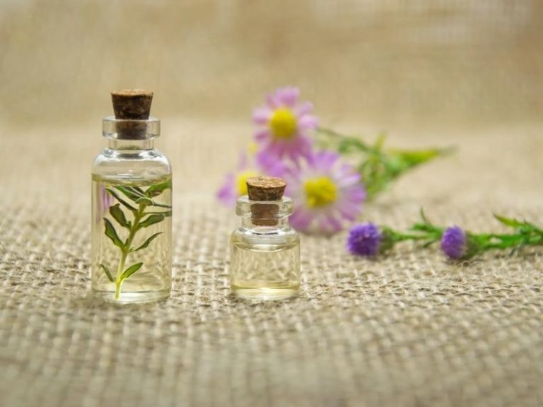 What Scent Keeps Bed Bugs Away